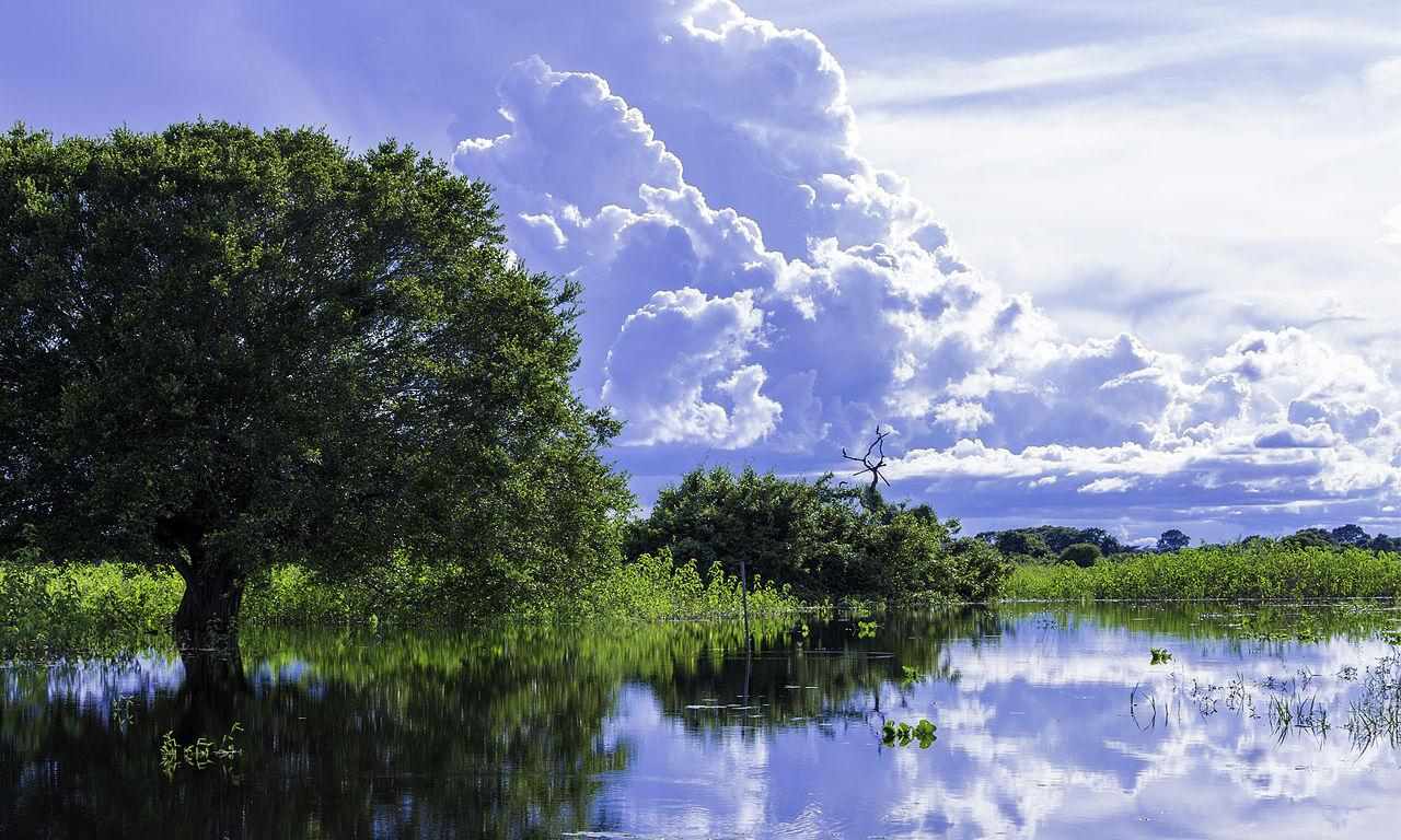 Mato Grosso, Brazil